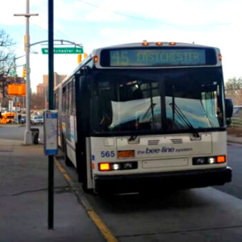 This is an image of a Beeline Eastchester Bus