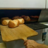 This is an image of Italian bread coming out of the oven at Morris Park's Scaglione Bakery